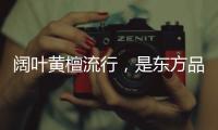 阔叶黄檀流行�，是东方品质生活的回归