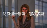 快排公司十年历程，霸屏兔 seo 的崛起与坚守