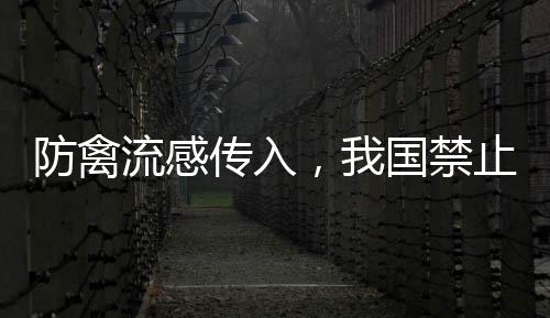 各海关、其相一经发现