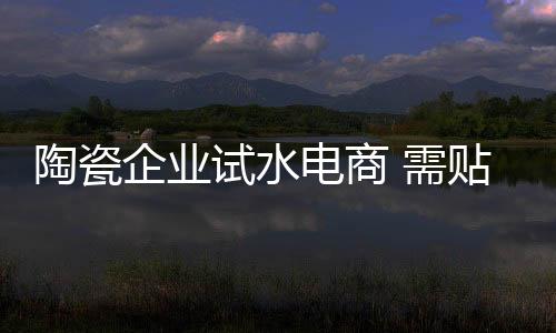 提供多样化服务的试水能力