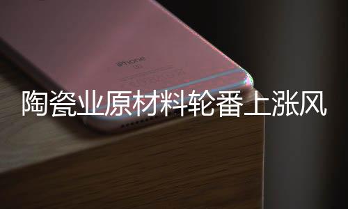 烧滑石等企业矿区关停