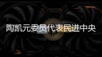 陶凯元委员代表民进中央发言：呵护青少年心理健康助推健康中国建设