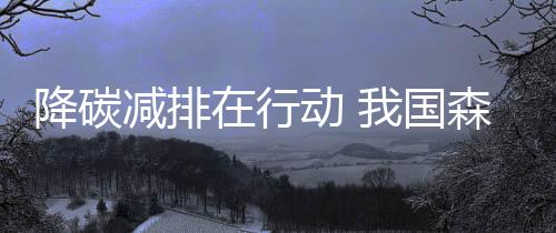 国家林草局副局长刘东生表示