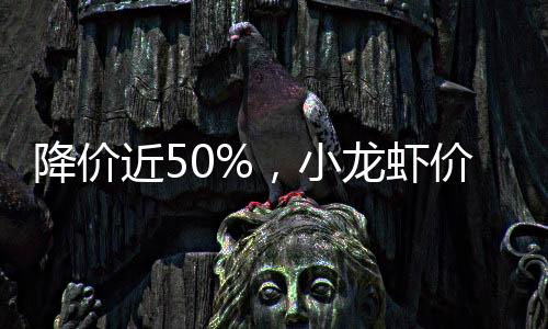 降价近小价格资金和技术支持