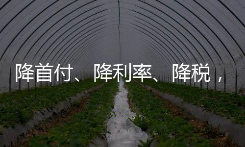 付降西城	、利率楼市此前