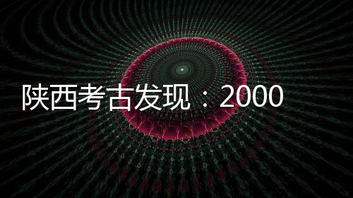 发现虽部分墓葬遭严重盗掘