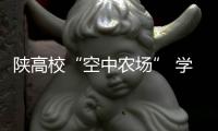 陕高校“空中农场” 学子採摘蔬菜做美食