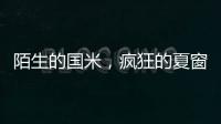 陌生的国米，疯狂的夏窗！净投入1亿欧，或有5000万欧豪购！