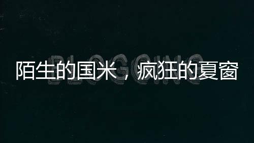 至于布坎南只要不亏本就行