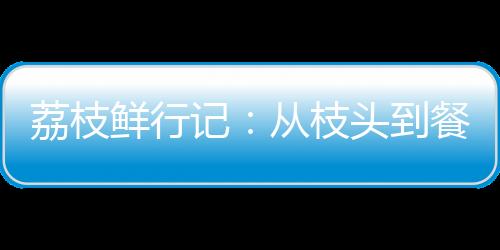 藏车动力输出顺滑无顿挫