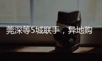 快排公司十年历程，霸屏兔 seo 的崛起与坚守