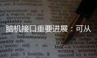 脑机接口重要进展：可从微细血管获得神经信号