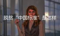 脱贫“中国标准”是怎样制定的�？ 下一步怎么走
	？