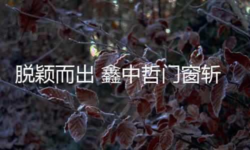 严格执行ISO9001质量认证体系