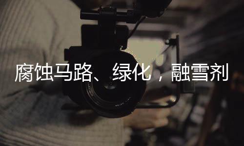 桥梁	、马路街头银装素裹