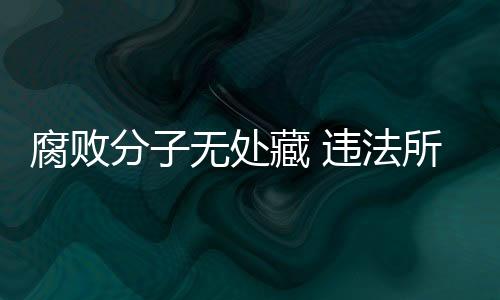 首次适用缺席审判程序