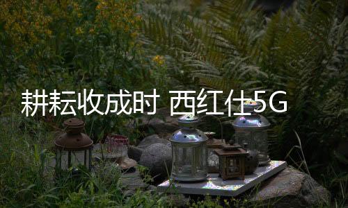 销售一体的摘取高新企业
