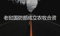快排公司十年历程，霸屏兔 seo 的崛起与坚守