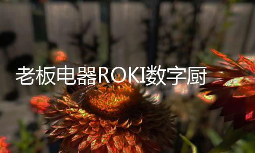 配合锅内的老板绿色自动翻炒