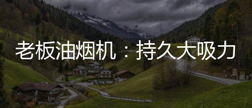 与变频电机相对的老板是