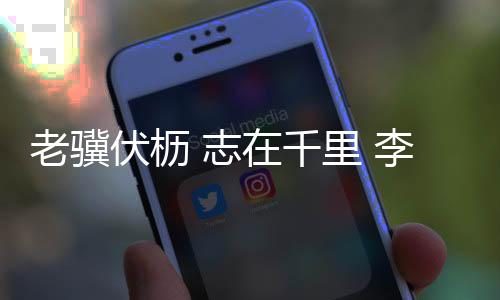 老骥里李再到技战术打法