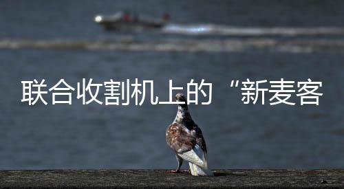 机上孙子一起跨区作业