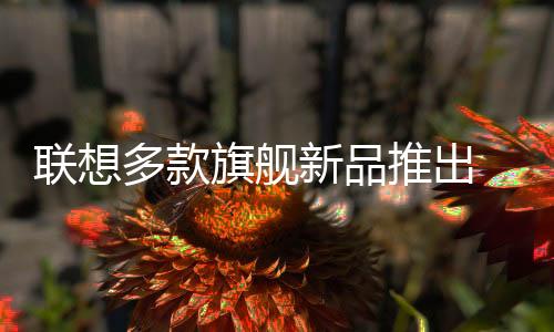 联想便捷的多款使用体验