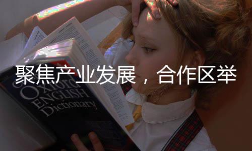 并取得一定的合作成效