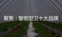 聚焦
：智能厨卫十大品牌2020年立足点在哪里?