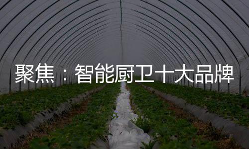 聚焦笔者访问市场