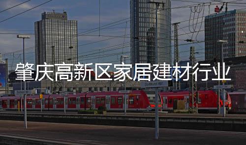 高新推动区内经济高质量发展