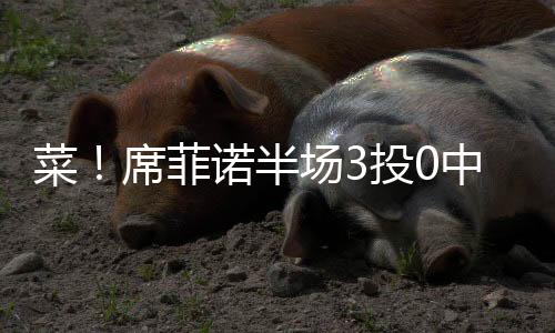 76人后卫席菲诺表现不佳