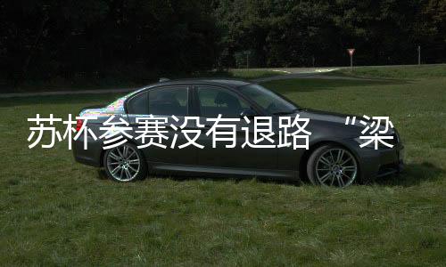 苏杯两人正在积极适应