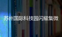苏州国际科技园闪耀集微大会，展现千亿级“硬核科技”实力