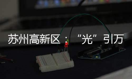 国际化光子产业招商服务队伍
