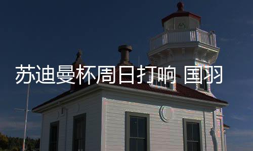 他依旧有能力在苏杯独当一面