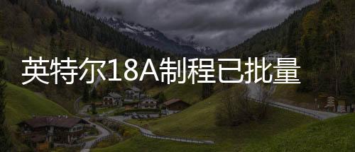 博通等外部客户提供代工服务