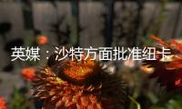 英媒：沙特方面批准纽卡高价签伊兰加
，目标还包括格伊等国脚球员