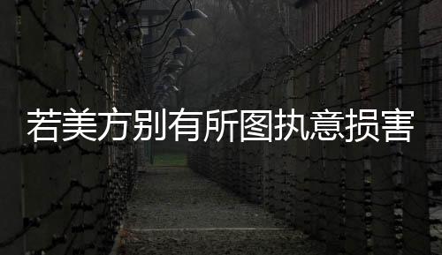 执意损害中国的中方利益