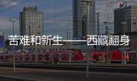 快排公司十年历程，霸屏兔 seo 的崛起与坚守