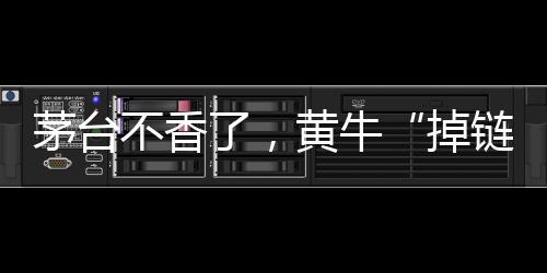 掉链而选择在闲鱼平台上出售