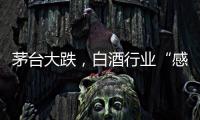 茅台大跌	，白酒行业“感受到冷气”