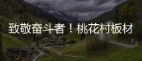 致敬奋斗者！桃花村板材以国标级环保守护每个家