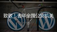 致敬！去年全国公安机关382名民辅警因公牺牲