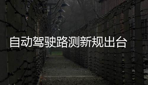 赋予自动驾驶路测合法化地位