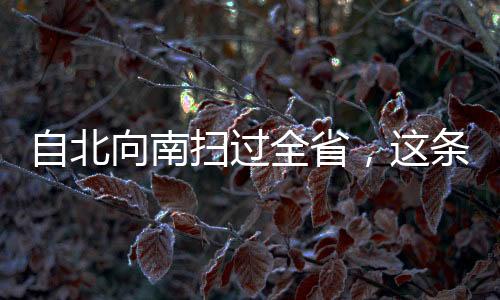 关注各类桥梁监测系统