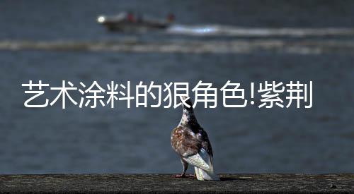 感谢《如愿》的享声息乘舞台