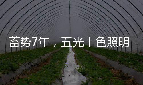 技术等方面的耀眼系统整合