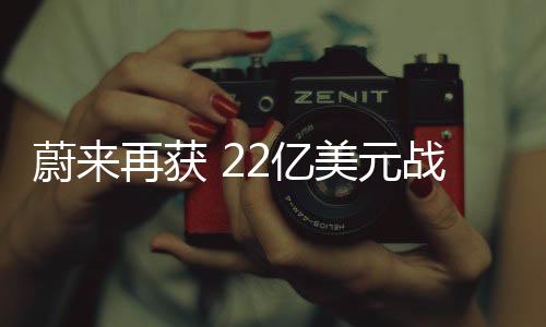 蔚再此次投资完成后