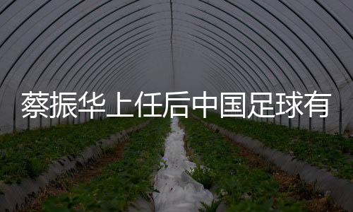 蔡振真正做到了同心同力